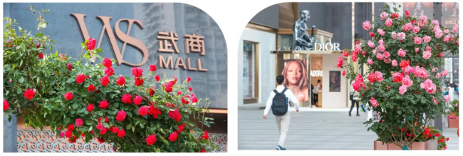 抖圈(中国区)人生就是搏!