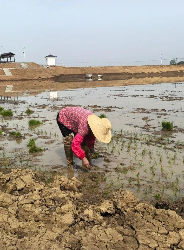 抖圈(中国区)人生就是搏!