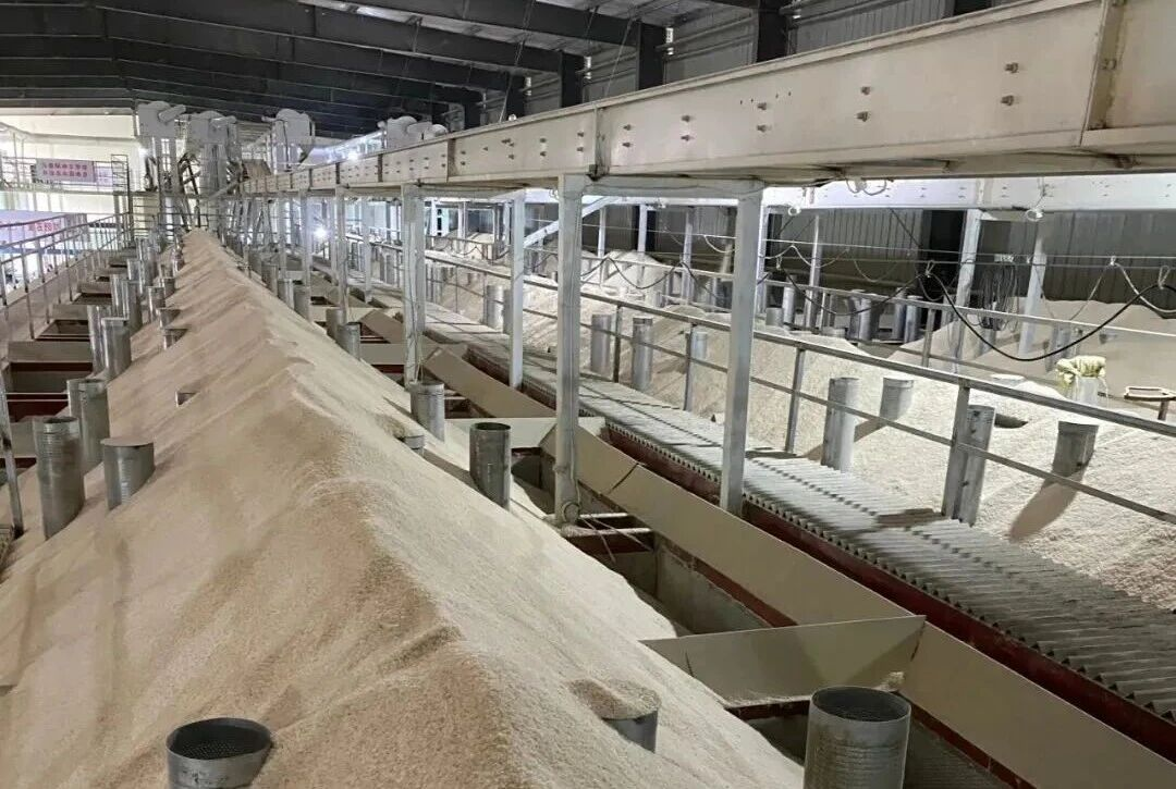 抖圈(中国区)人生就是搏!